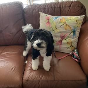 Meet your Posher, Jerry